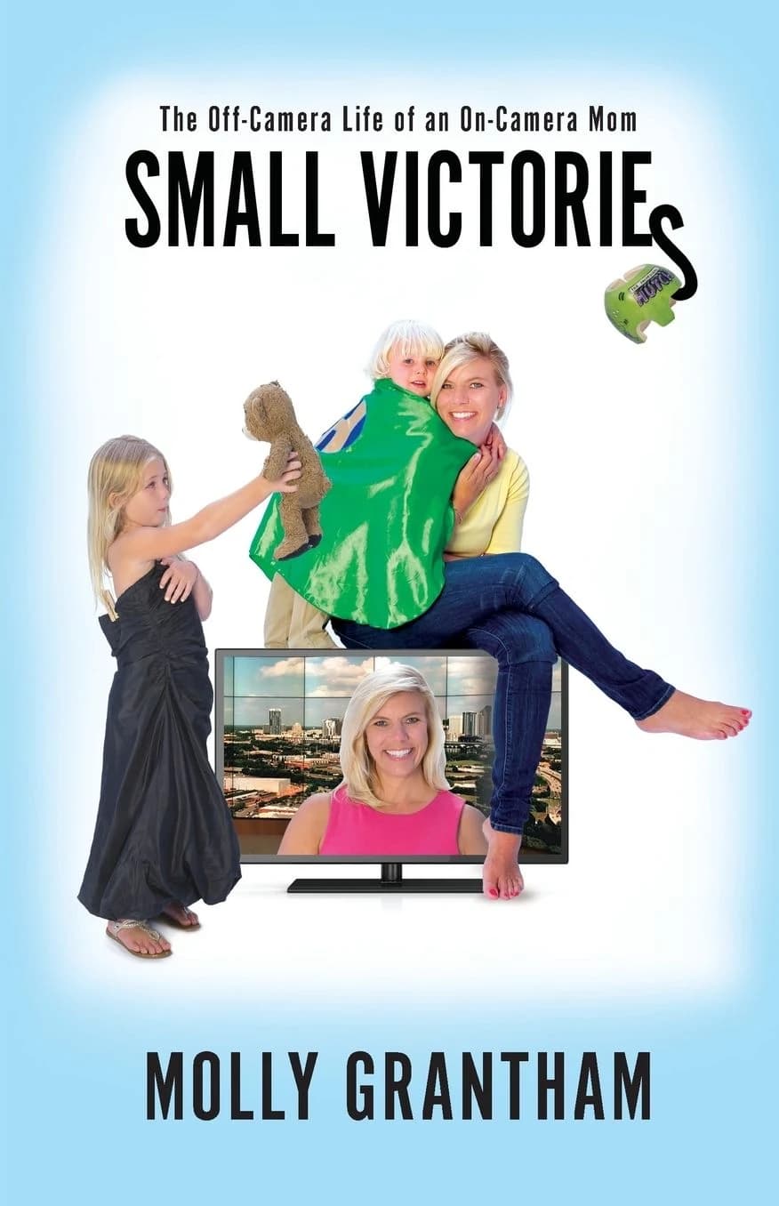 Small Victories book cover
